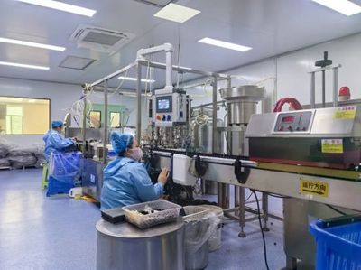 通化 人參產業“新新”向榮，西洋參成新亮點